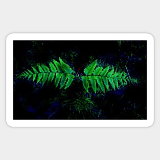 forest fern Sticker